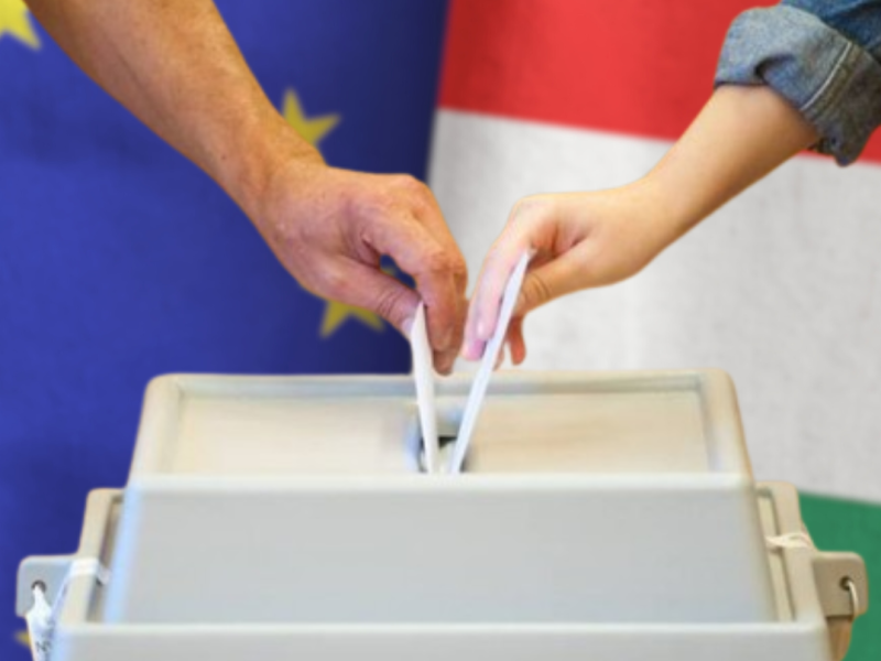 The Hungarian election system proves flawless in front of their eyes