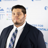 DORNFELD László, Vezető elemző